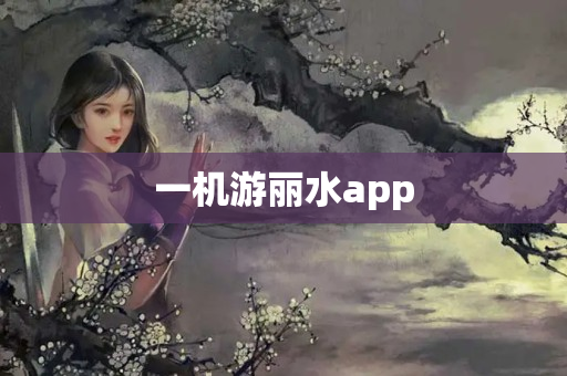 一机游丽水app