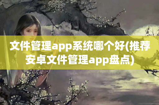 文件管理app系统哪个好(推荐安卓文件管理app盘点)