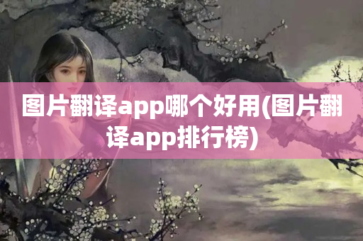 图片翻译app哪个好用(图片翻译app排行榜)