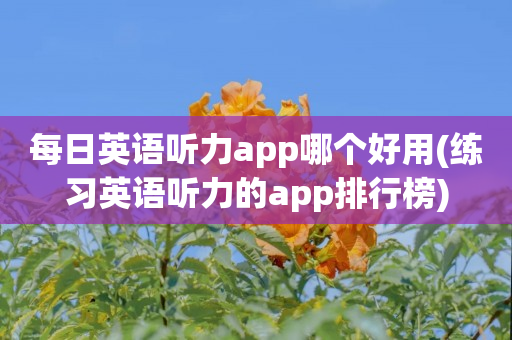 每日英语听力app哪个好用(练习英语听力的app排行榜)