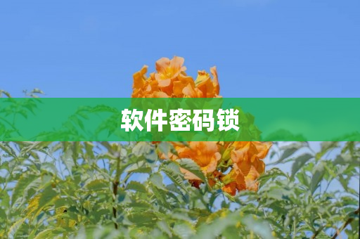 软件密码锁