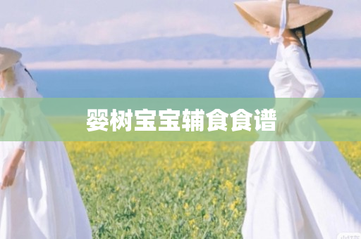 婴树宝宝辅食食谱