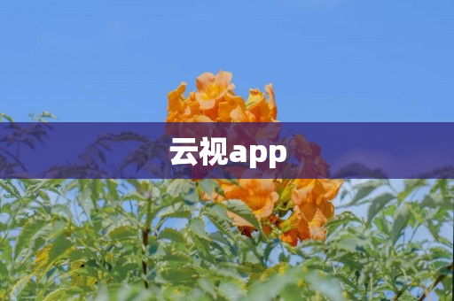 云视app
