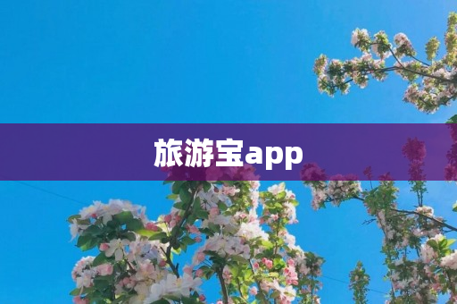 旅游宝app