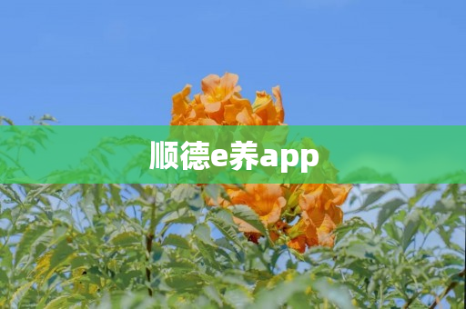 顺德e养app