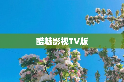 酷魅影视TV版