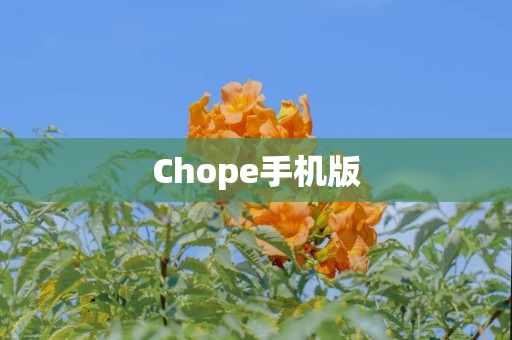 Chope手机版