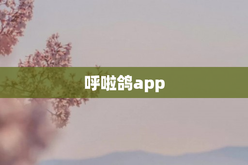 呼啦鸽app