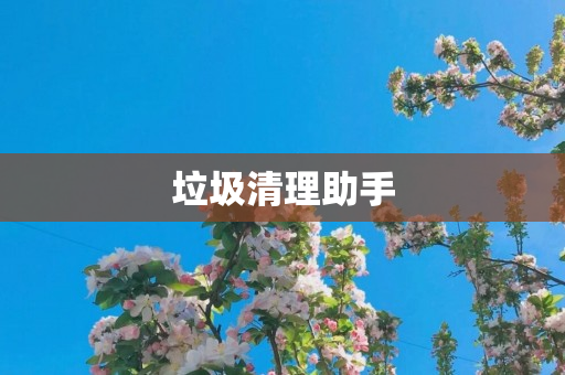 垃圾清理助手