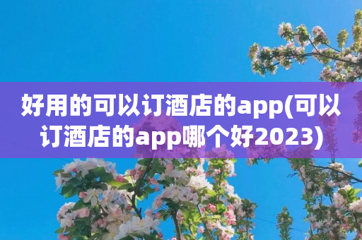 好用的可以订酒店的app(可以订酒店的app哪个好2023)