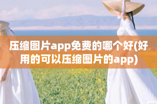 压缩图片app免费的哪个好(好用的可以压缩图片的app)