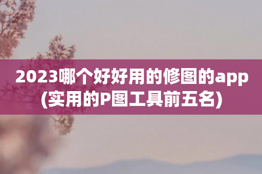 2023哪个好好用的修图的app(实用的P图工具前五名)