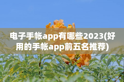 电子手帐app有哪些2023(好用的手帐app前五名推荐)
