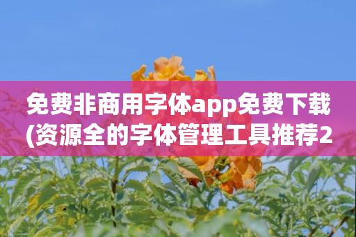 免费非商用字体app免费下载(资源全的字体管理工具推荐2023)