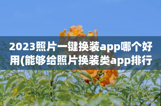 2023照片一键换装app哪个好用(能够给照片换装类app排行)