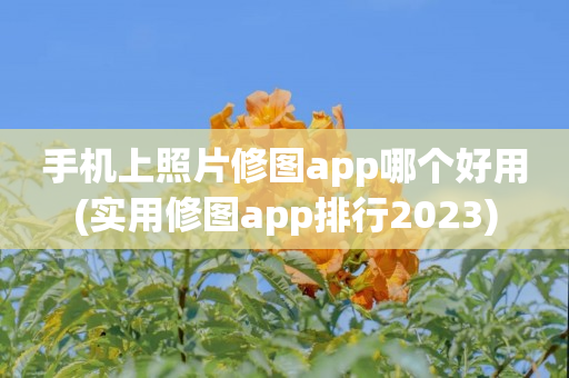 手机上照片修图app哪个好用(实用修图app排行2023)