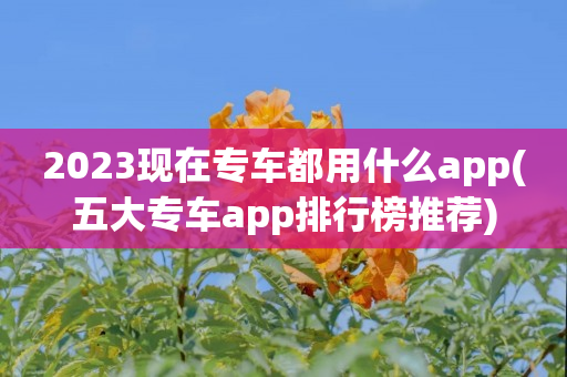 2023现在专车都用什么app(五大专车app排行榜推荐)