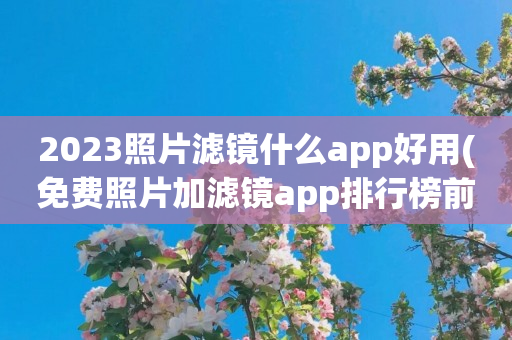 2023照片滤镜什么app好用(免费照片加滤镜app排行榜前五)