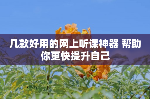 几款好用的网上听课神器 帮助你更快提升自己