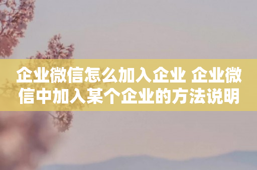 企业微信怎么加入企业 企业微信中加入某个企业的方法说明