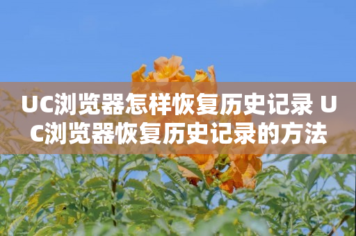 UC浏览器怎样恢复历史记录 UC浏览器恢复历史记录的方法