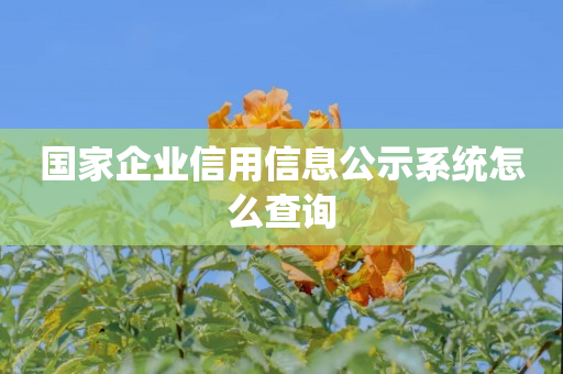 国家企业信用信息公示系统怎么查询