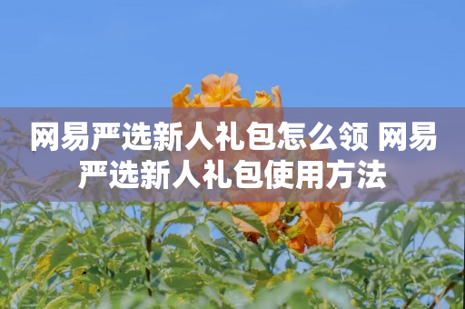 网易严选新人礼包怎么领 网易严选新人礼包使用方法