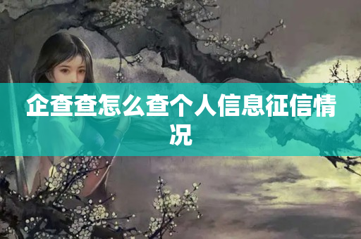 企查查怎么查个人信息征信情况