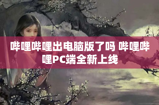 哔哩哔哩出电脑版了吗 哔哩哔哩PC端全新上线