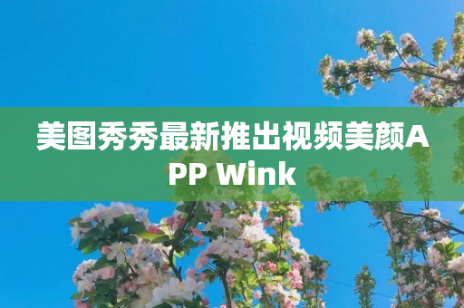 美图秀秀最新推出视频美颜APP Wink