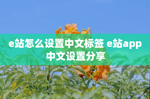 e站怎么设置中文标签 e站app中文设置分享