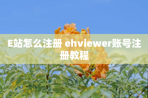 E站怎么注册 ehviewer账号注册教程