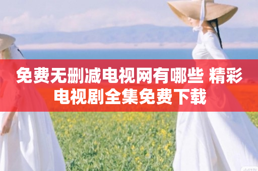 免费无删减电视网有哪些 精彩电视剧全集免费下载