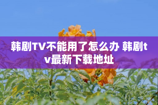 韩剧TV不能用了怎么办 韩剧tv最新下载地址