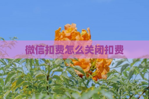 微信扣费怎么关闭扣费