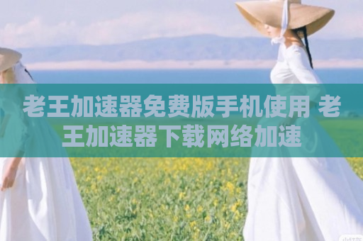 老王加速器免费版手机使用 老王加速器下载网络加速
