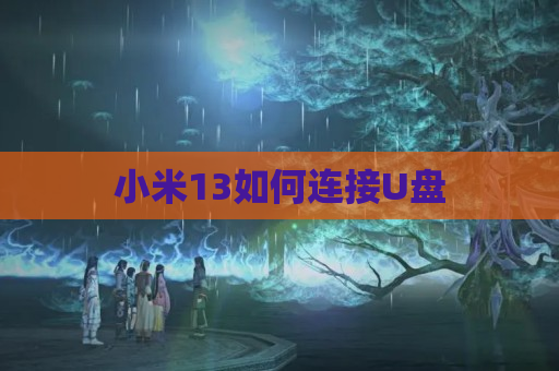 小米13如何连接U盘