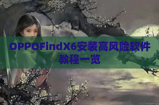 OPPOFindX6安装高风险软件教程一览