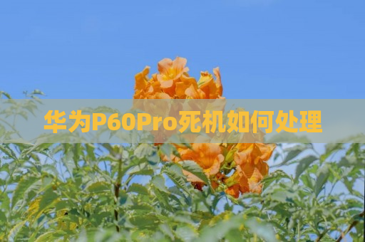 华为P60Pro死机如何处理
