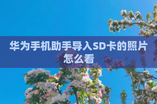 华为手机助手导入SD卡的照片怎么看