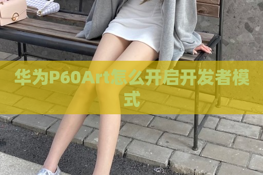 华为P60Art怎么开启开发者模式