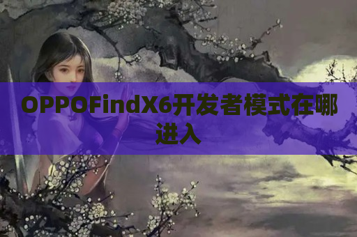 OPPOFindX6开发者模式在哪进入