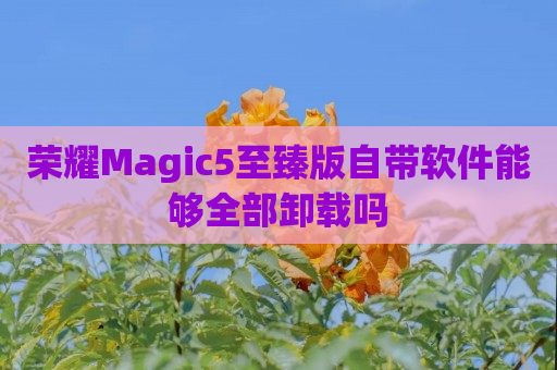 荣耀Magic5至臻版自带软件能够全部卸载吗