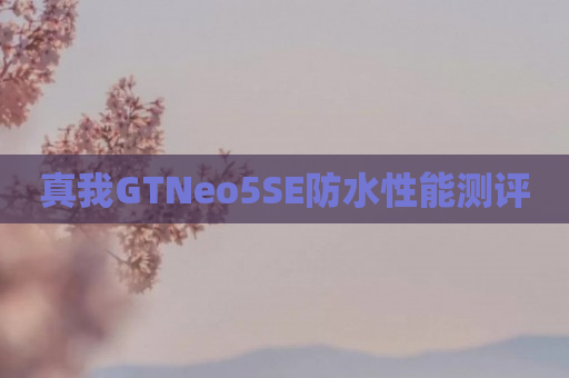 真我GTNeo5SE防水性能测评