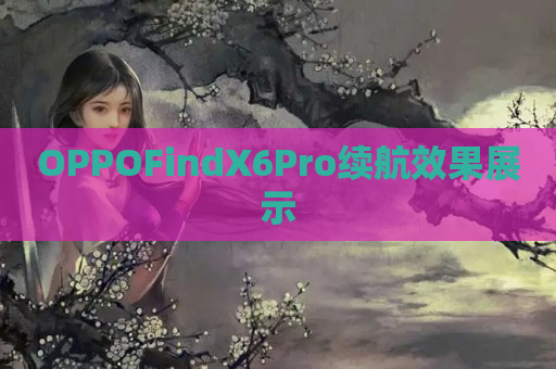 OPPOFindX6Pro续航效果展示
