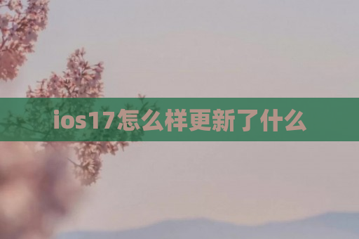 ios17怎么样更新了什么