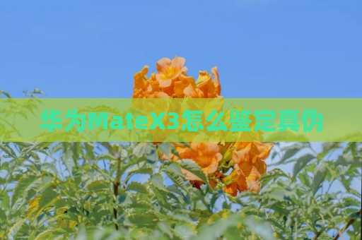 华为MateX3怎么鉴定真伪