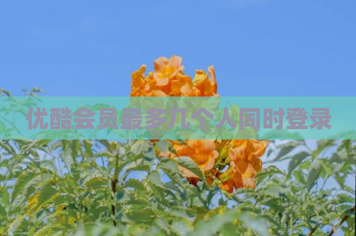 优酷会员最多几个人同时登录
