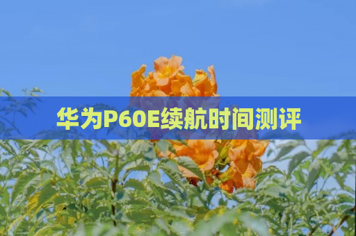 华为P60E续航时间测评