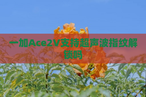 一加Ace2V支持超声波指纹解锁吗